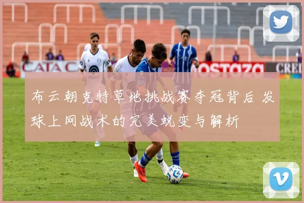 布云朝克特草地挑战赛夺冠背后 发球上网战术的完美蜕变与解析